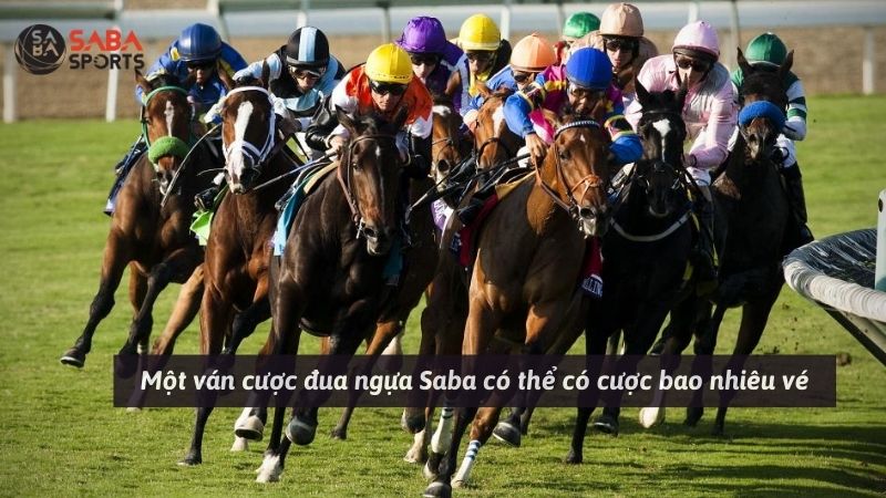 Một ván cược đua ngựa Saba có thể có cược bao nhiêu vé