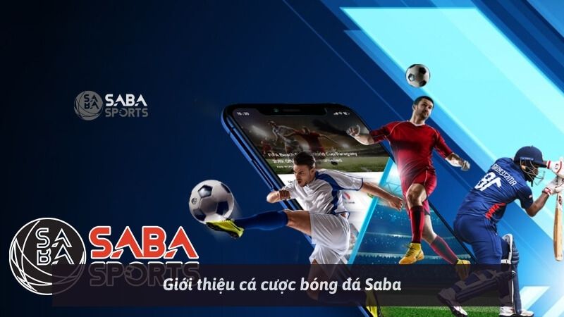 Giới thiệu cá cược bóng đá Saba