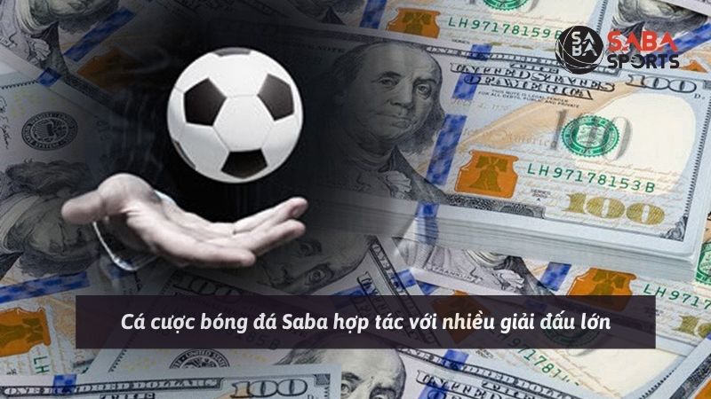 Cá cược bóng đá Saba hợp tác với nhiều giải đấu lớn