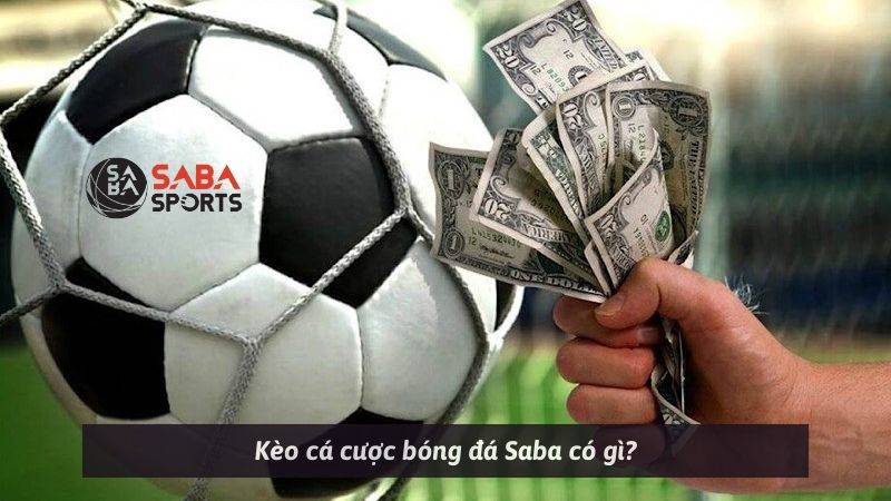 Kèo cá cược bóng đá Saba có gì?