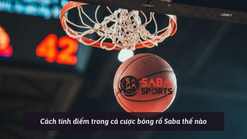 Cách tính điểm trong cá cược bóng rổ Saba siêu chuẩn