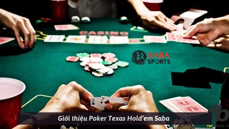 Giới thiệu Poker Texas Hold’em Saba 