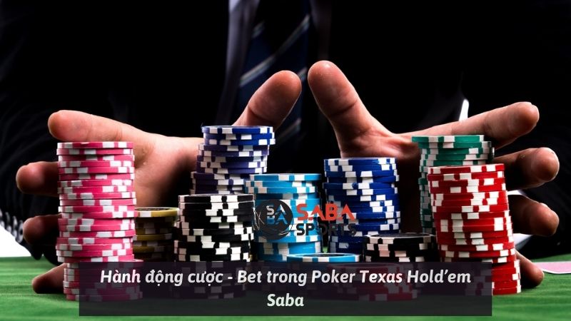 Hành động cược - Bet trong Poker Texas Hold’em Saba